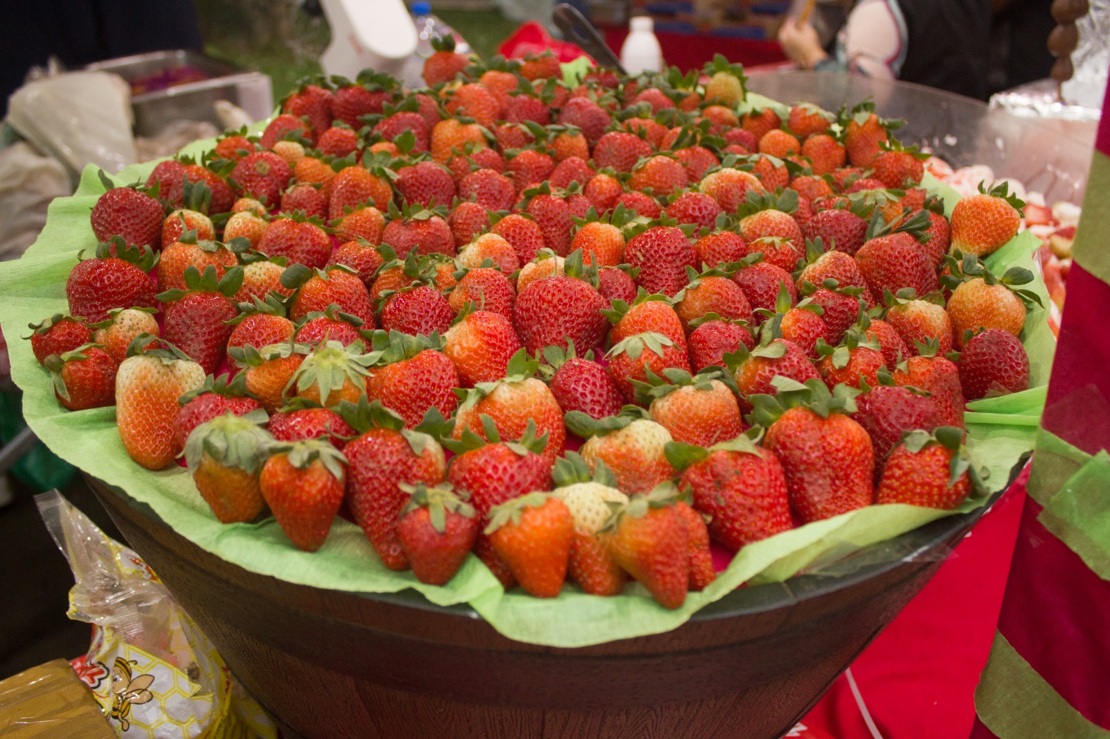 Acontece em São Vicente: shows, Festival do Morango e programação especial animam feriado prolongado