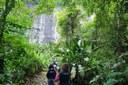 Escola de São Vicente participa de trilha no Parque Estadual Xixová-Japuí Escola de São Vicente participa de trilha no Parque Estadual Xixová-Japuí