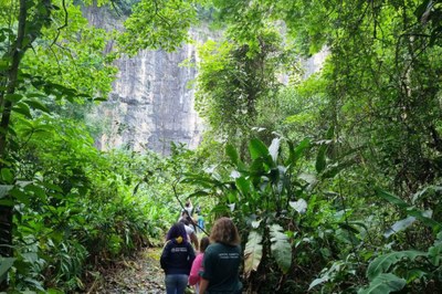 Escola de São Vicente participa de trilha no Parque Estadual Xixová-Japuí
