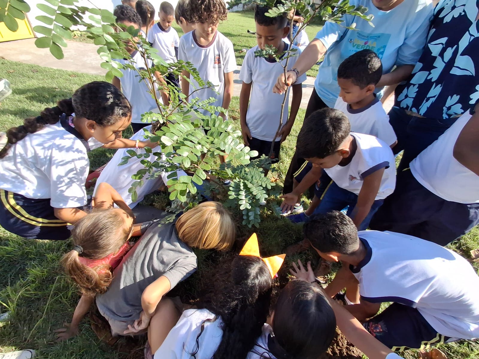 Alunos de escola municipal celebram Dia do Pau-Brasil com plantio de muda nativa