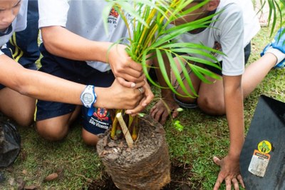 Alunos plantam mais 30 mudas de árvores no entorno de lagoa na Área Continental