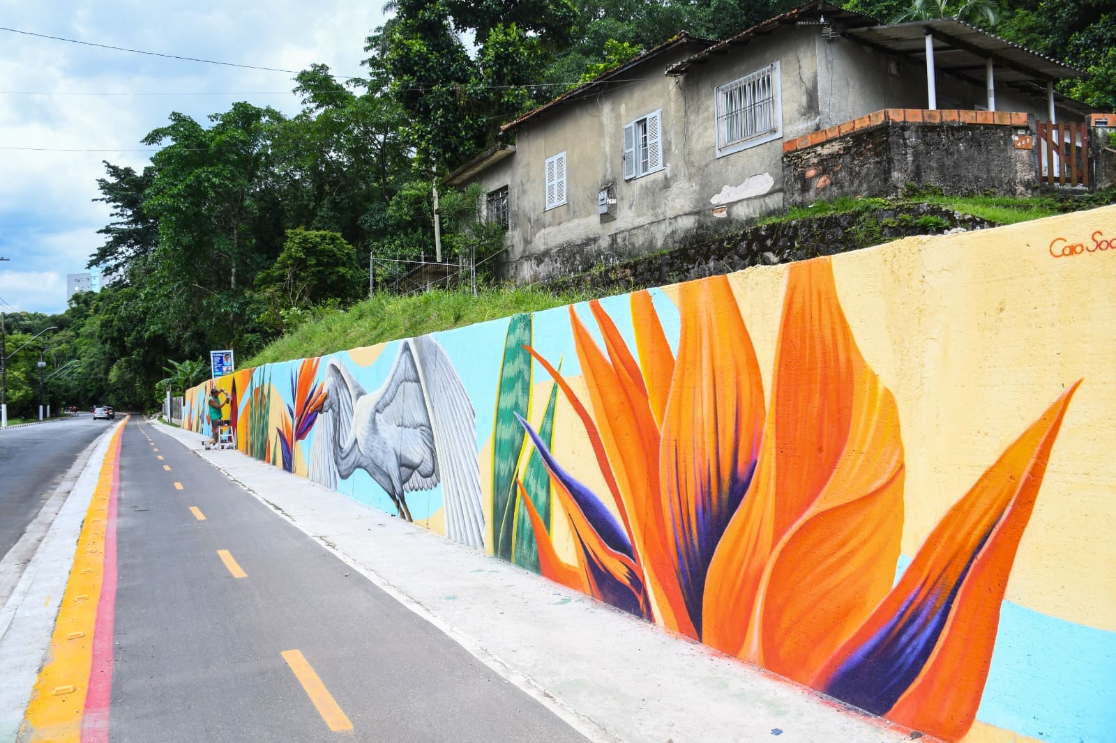 Arte urbana transforma espaços públicos e fortalece a identidade cultural em São Vicente