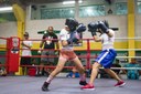 Atletas vão aos ringues em Sparring de Boxe nesta sexta (4), no Dondinho