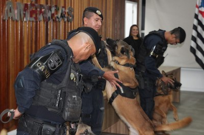 Canil da GCM de São Vicente é homenageado na Câmara pelos 20 anos de atuação