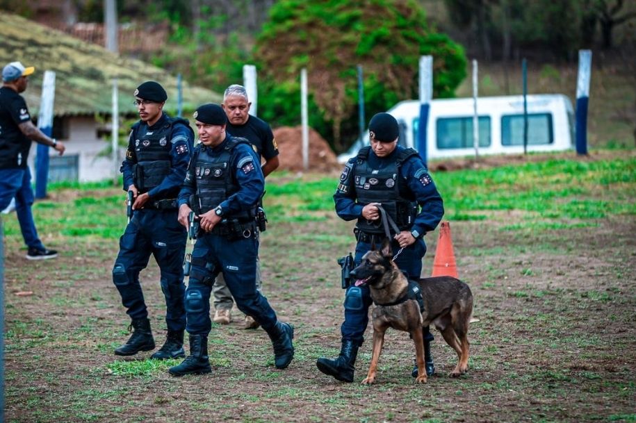 Canil da GCM de São Vicente é top 10 em Campeonato Nacional de Cães Policiais
