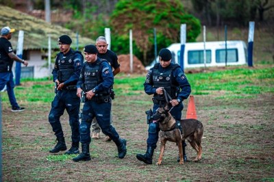 Canil da GCM de São Vicente é top 10 em Campeonato Nacional de Cães Policiais