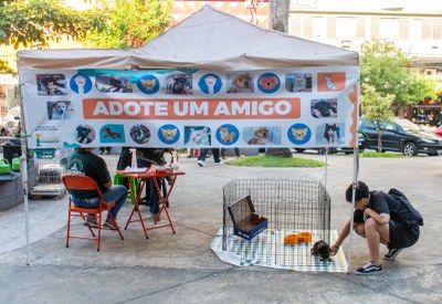 Corações adotados: Feira em São Vicente une famílias e animais em histórias emocionantes