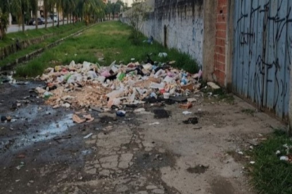 Descarte irregular vai gerar multa de quase R$ 22 mil a empresa em São Vicente