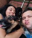 Dia dos animais: Conheça Dora, a cãzinha aventureira que conquistou uma família e ensinou o valor da adoção Dia dos animais: Conheça Dora, a cãzinha aventureira que conquistou uma família e ensinou o valor da adoção