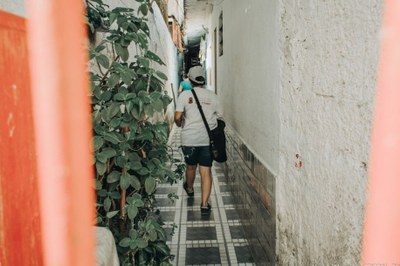 Em agosto, mais de 5 mil focos do mosquito Aedes aegypti foram eliminados em São Vicente