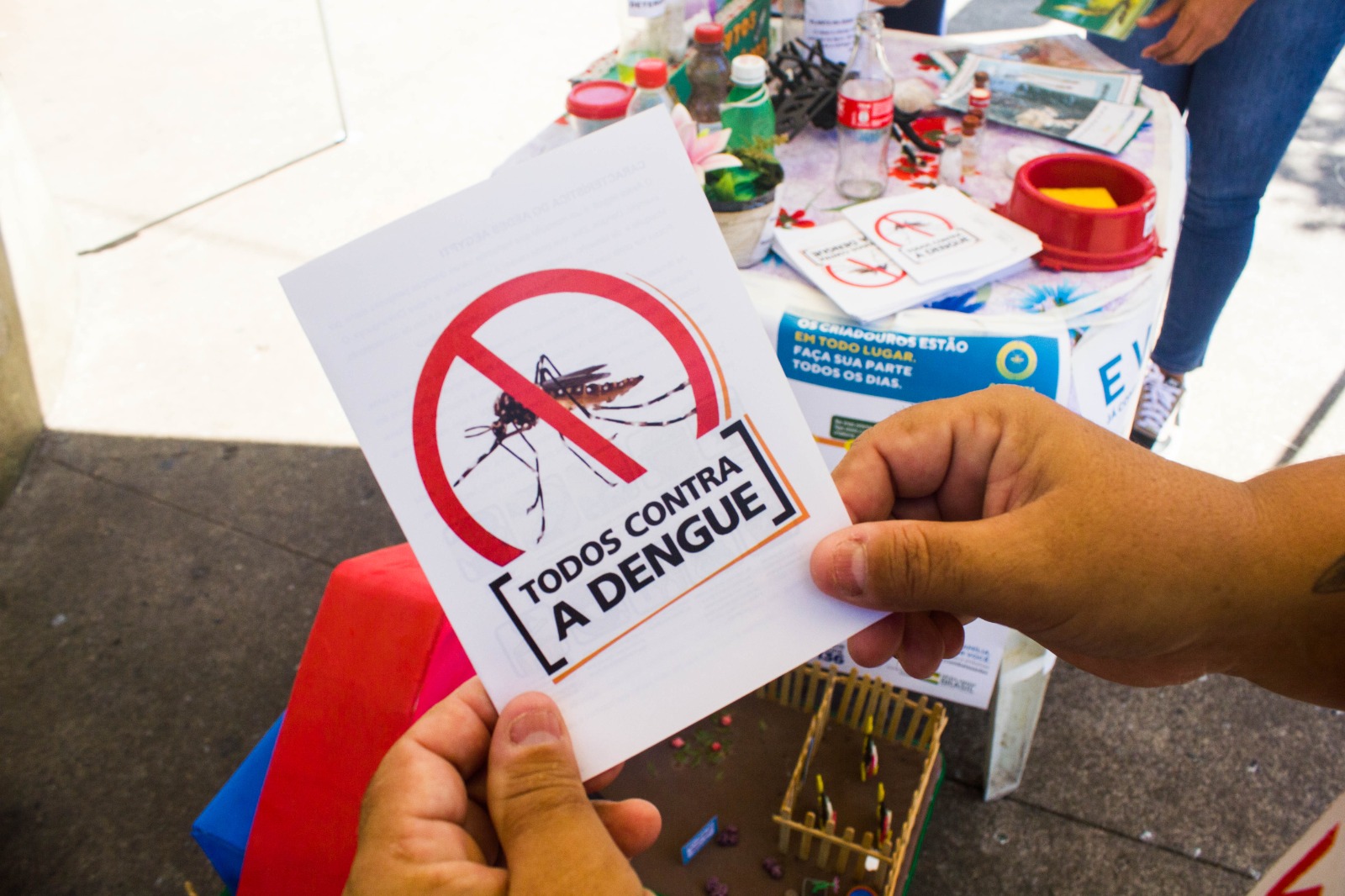 Em junho, quase 5,5 mil focos de Aedes aegypti são eliminados em São Vicente