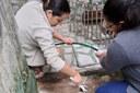Em setembro, quase 7 mil focos de Aedes aegypti são eliminados Em setembro, quase 7 mil focos de Aedes aegypti são eliminados