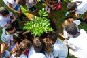 Escola municipal homenageia Dia do Pau-Brasil, com plantio de muda na tarde de segunda-feira (5) Escola municipal homenageia Dia do Pau-Brasil, com plantio de muda na tarde de segunda-feira (5)