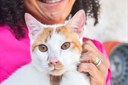 Eventos de adoção no mês de outubro reúnem cães e gatos resgatados em busca de amor em São Vicente Eventos de adoção no mês de outubro reúnem cães e gatos resgatados em busca de amor em São Vicente