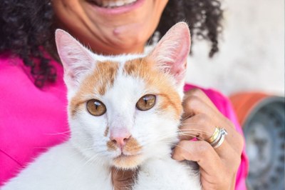 Eventos de adoção no mês de outubro reúnem cães e gatos resgatados em busca de amor em São Vicente