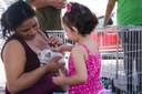 Evento de adoção proporciona oportunidade de novos Lares para Cães e Gatos Evento de adoção proporciona oportunidade de novos Lares para Cães e Gatos