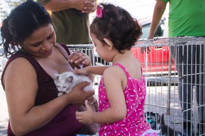 Evento de adoção proporciona oportunidade de  novos Lares para Cães e Gatos