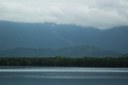 Florescendo um Novo Amanhã: São Vicente mobiliza campanha na Semana do Meio Ambiente
