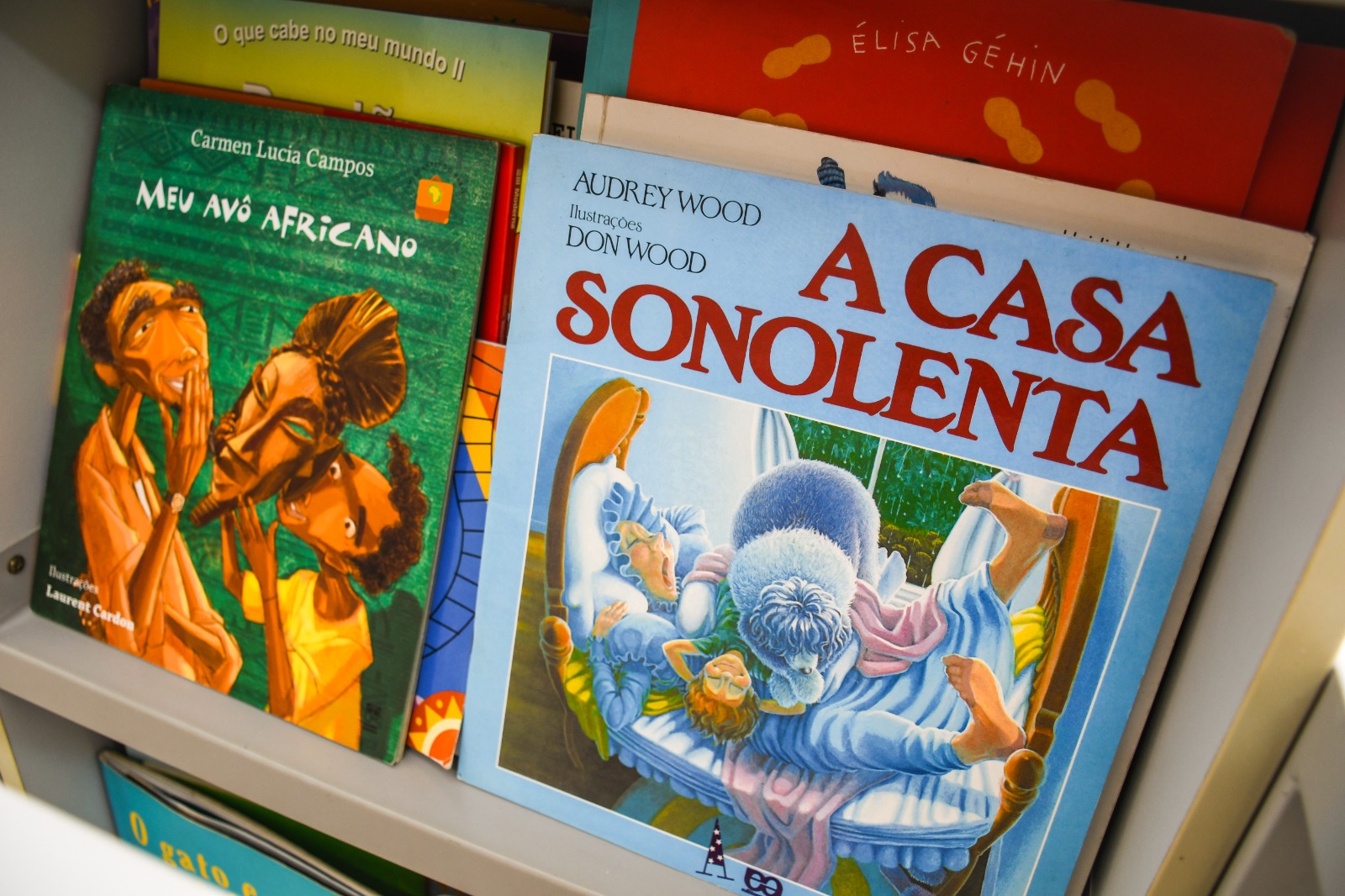 AMEI Humaitá recebe doação de livros do acervo pessoal de Luis Fernando Verissimo - 1.jpeg