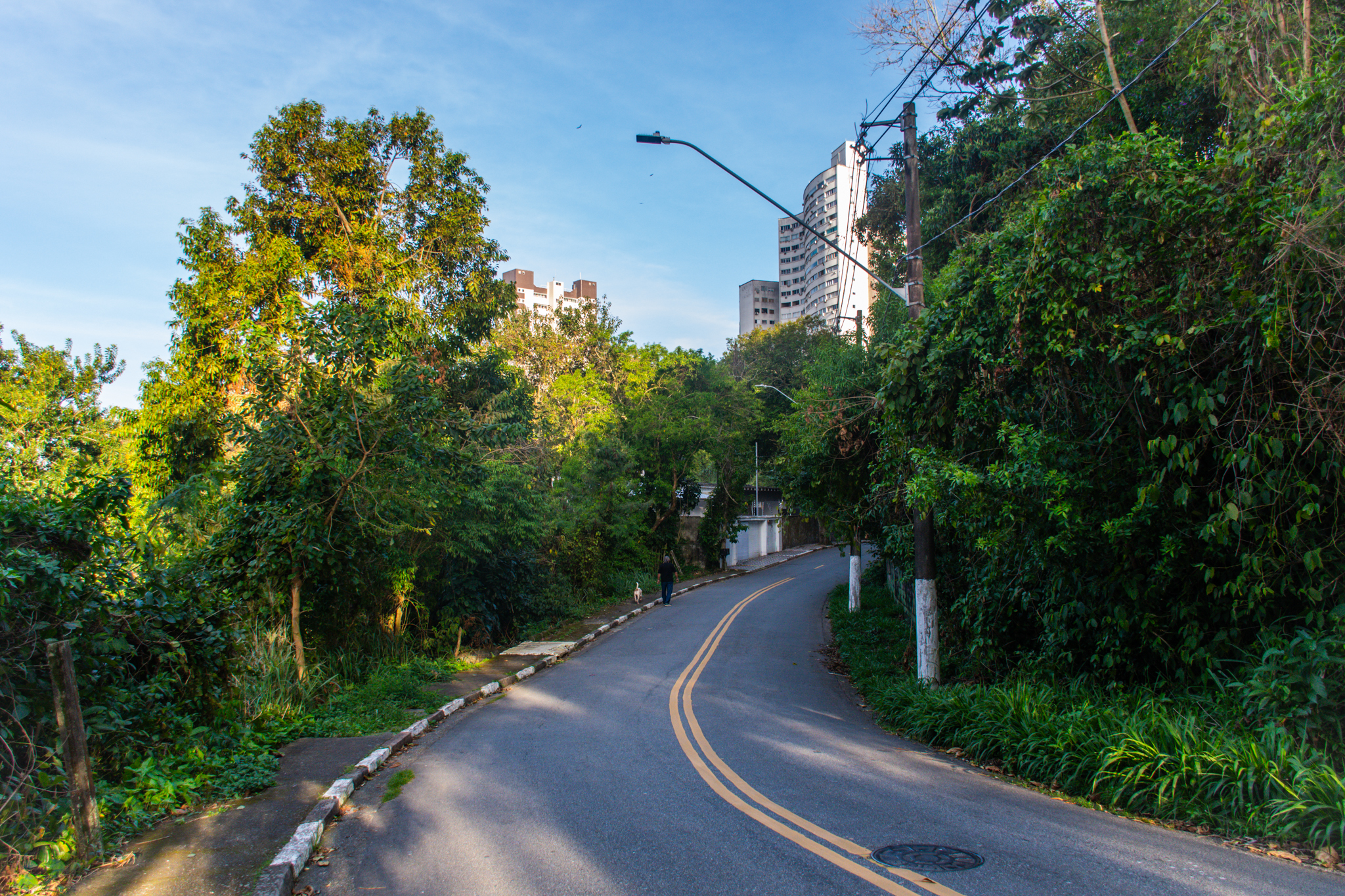 Arborização Urbana 2.JPG