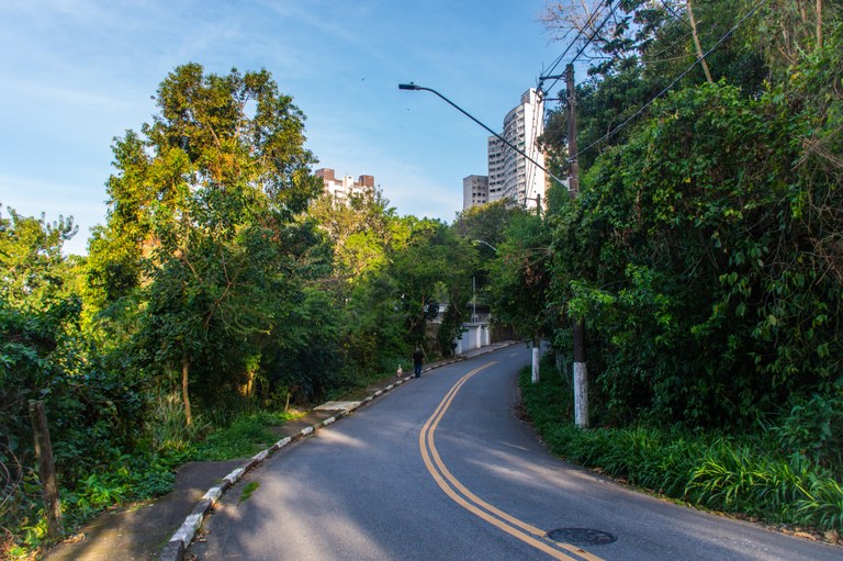Arborização Urbana 2.JPG