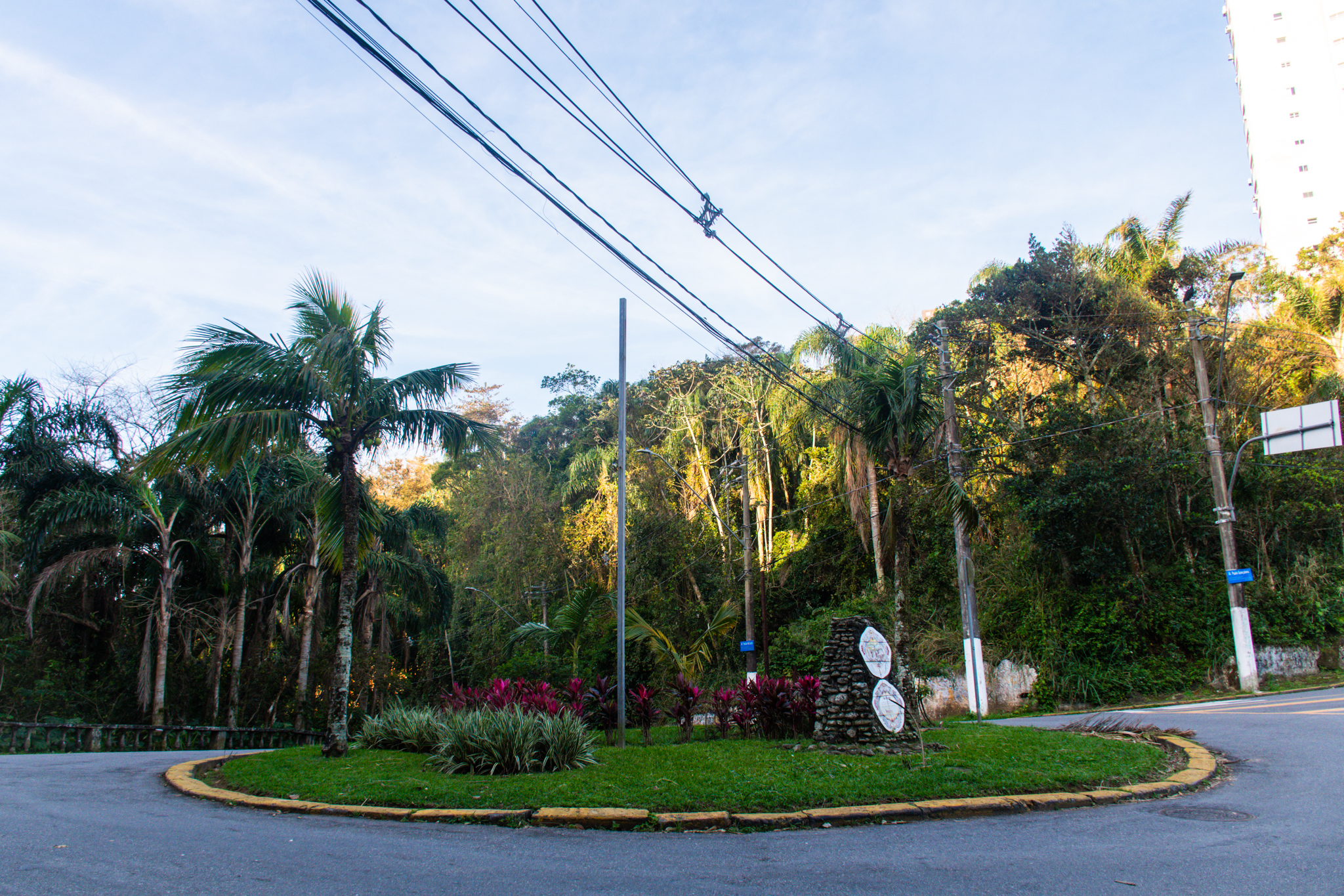 Arborização Urbana 3.JPG