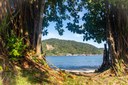 Arborização Urbana 4.JPG