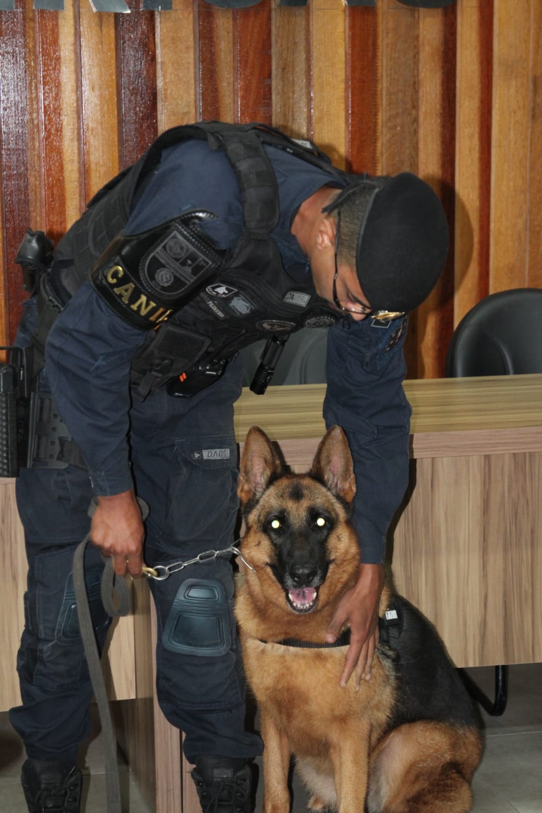 Canil da GCM de São Vicente é homenageado na Câmara pelos 20 anos de atuação - 4.jpeg