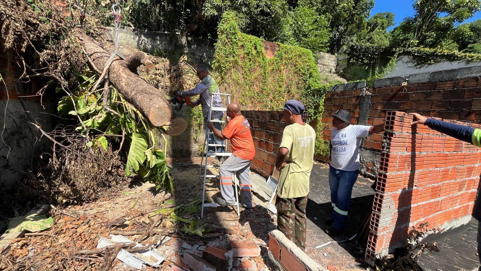 Centro de São Vicente recebe pacote de serviços de zeladoria nesta quarta-feira - 3.jpeg