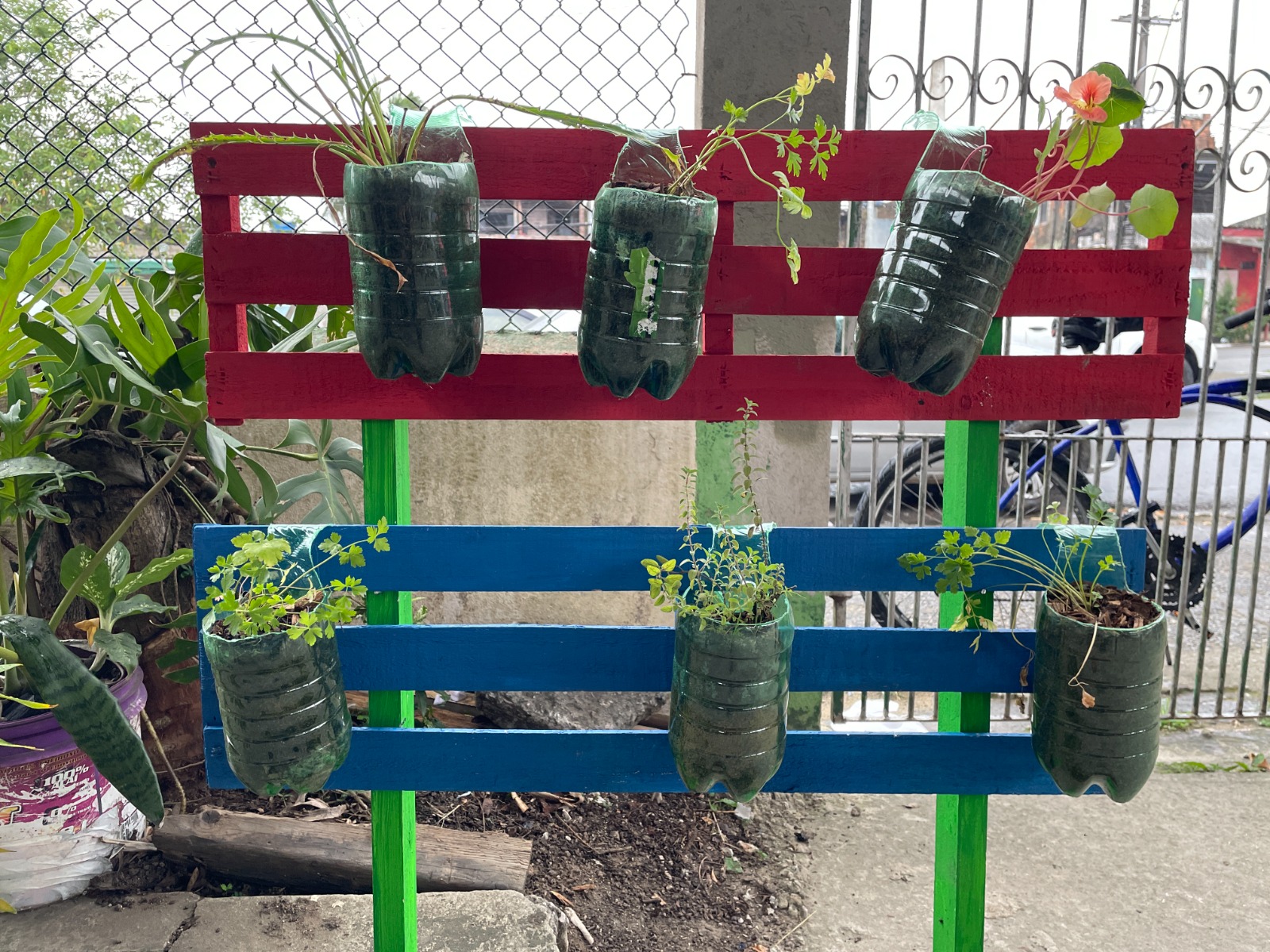 WhatsApp Image 2025-12-17 at 18.29.27.jpeg