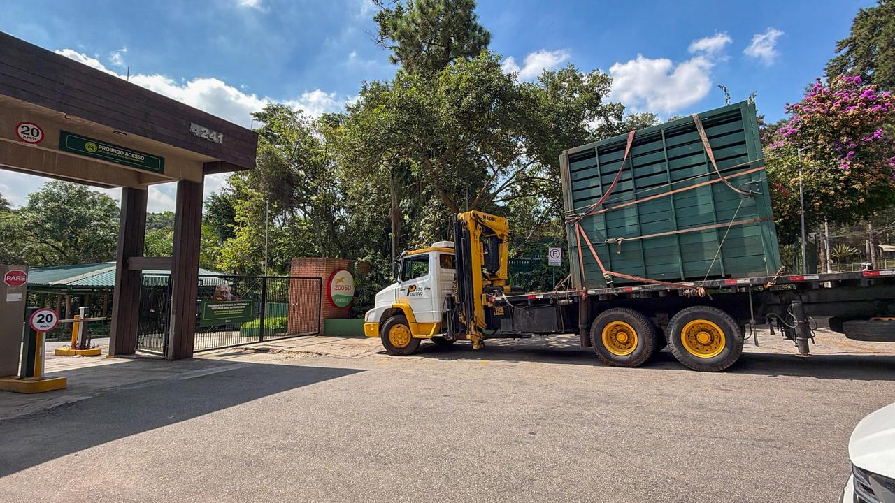 Hipopótamo Ramon é transferido para Zoo de SP, onde viverá com nova parceira e estrutura maior - 4.jpeg