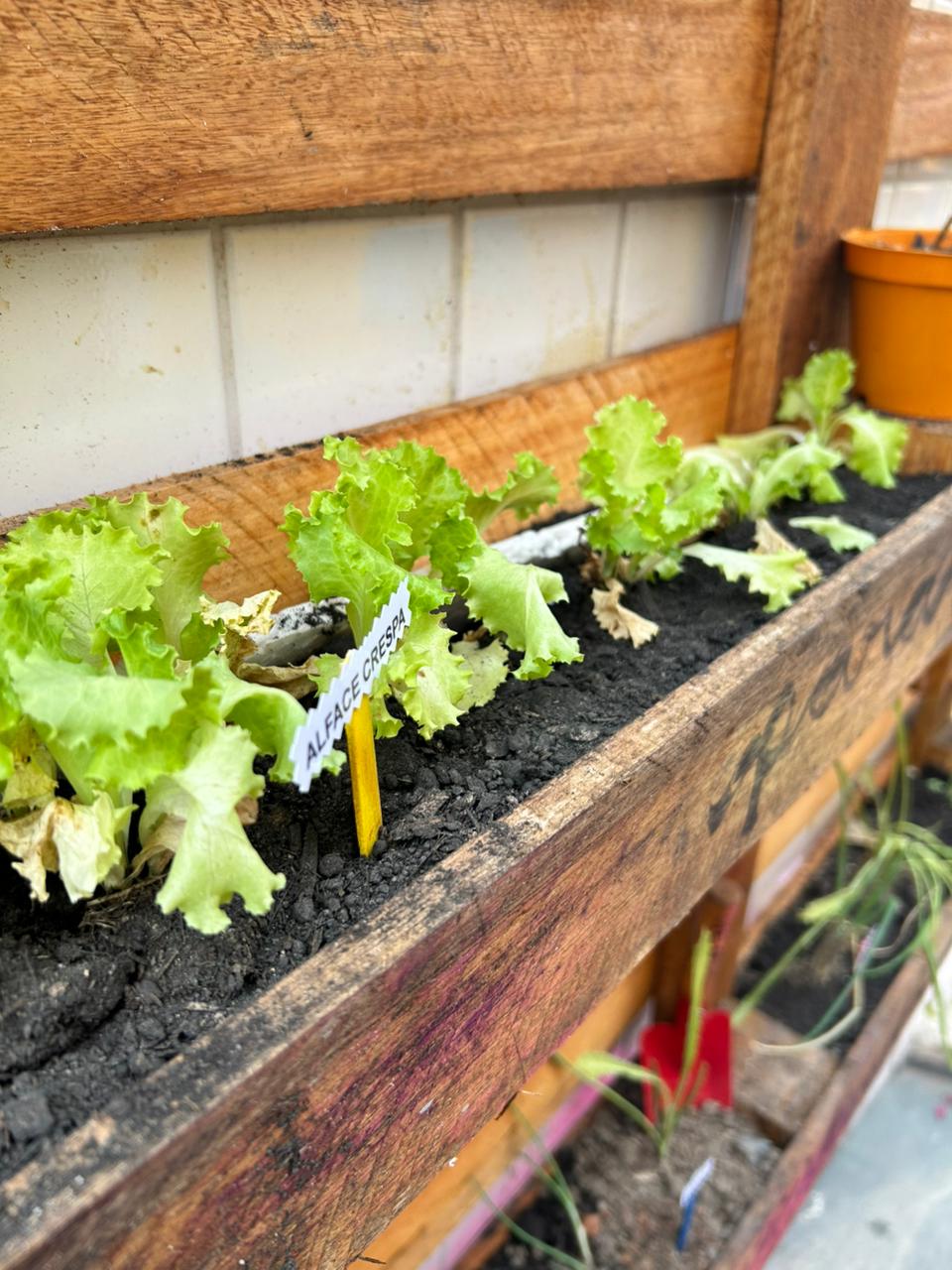 WhatsApp Image 2025-12-02 at 16.00.33.jpeg