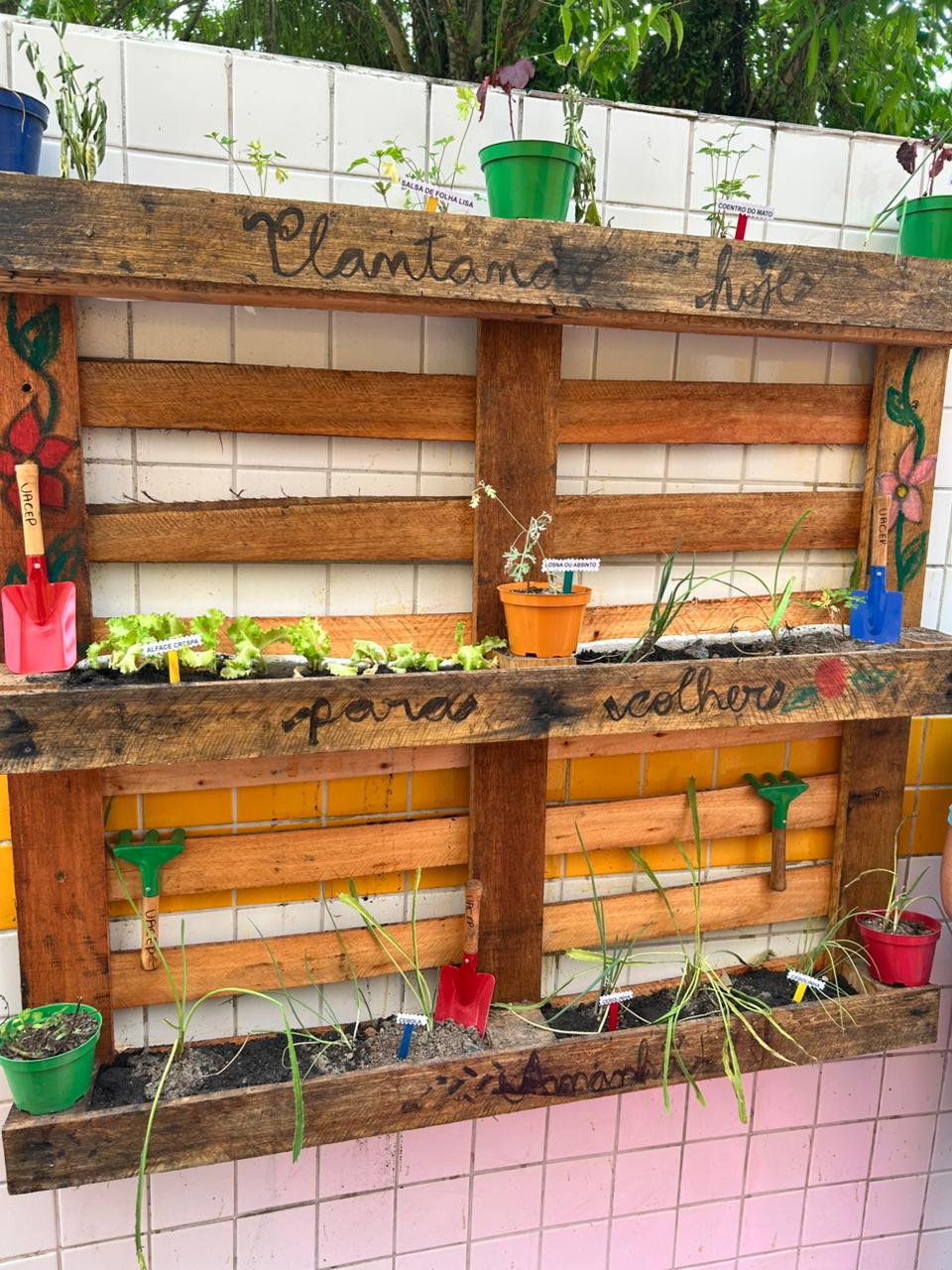 WhatsApp Image 2025-12-02 at 16.00.34.jpeg