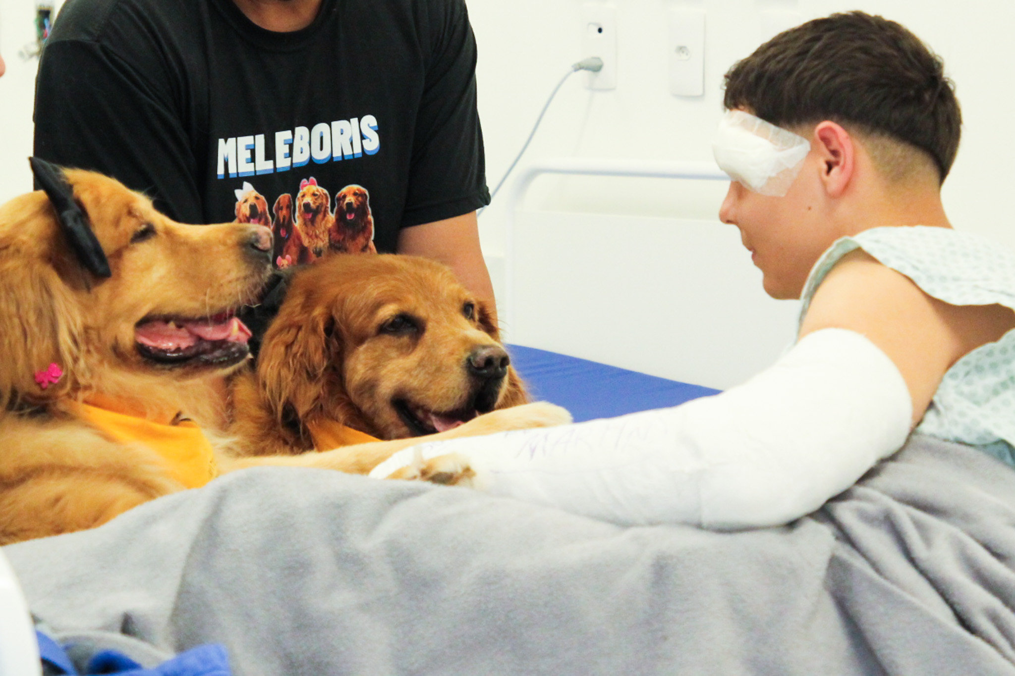 27 - Cães Terapeuticos SESAU (4).jpg