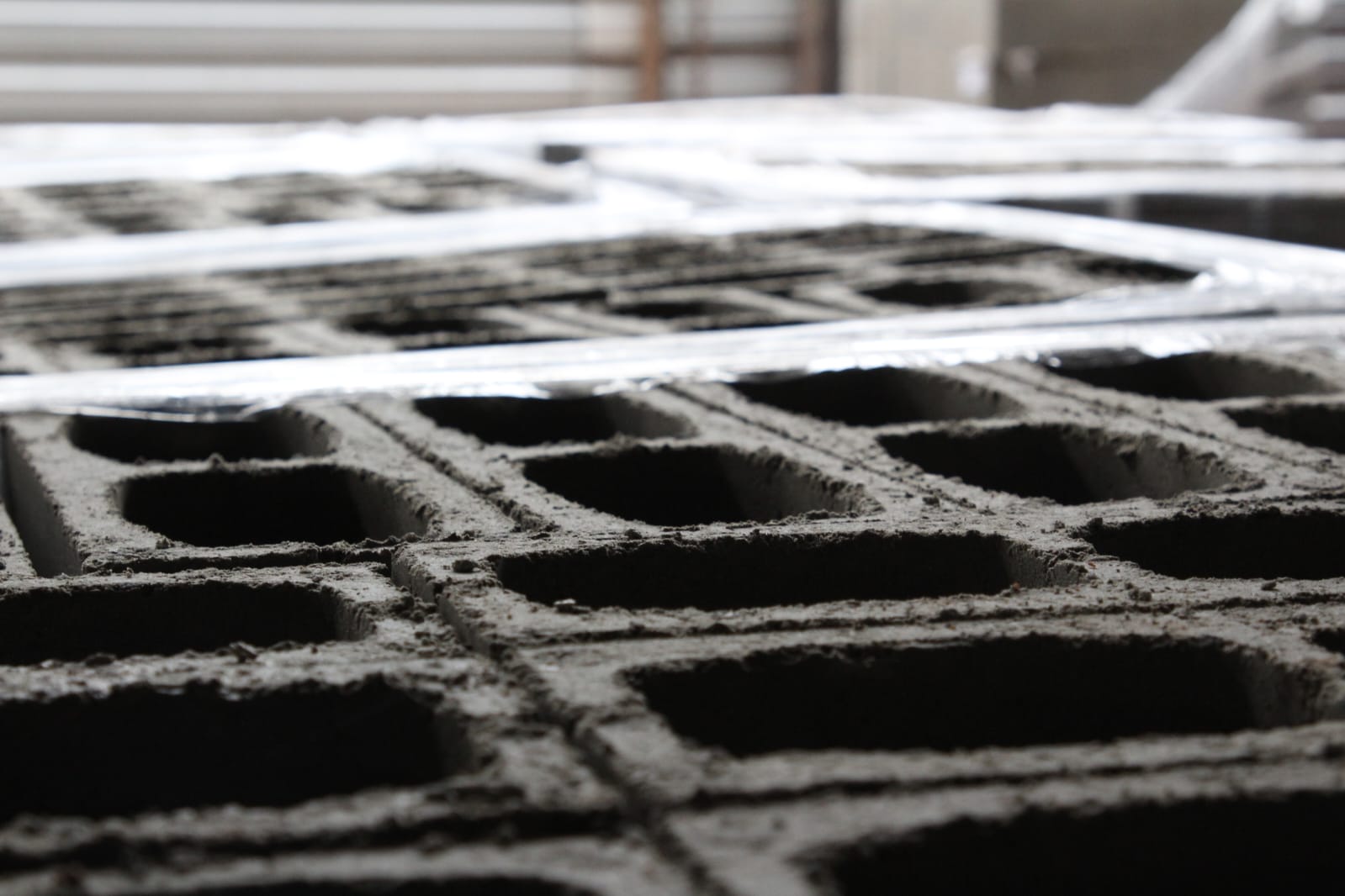 WhatsApp Image 2026-01-12 at 13.27.39.jpeg