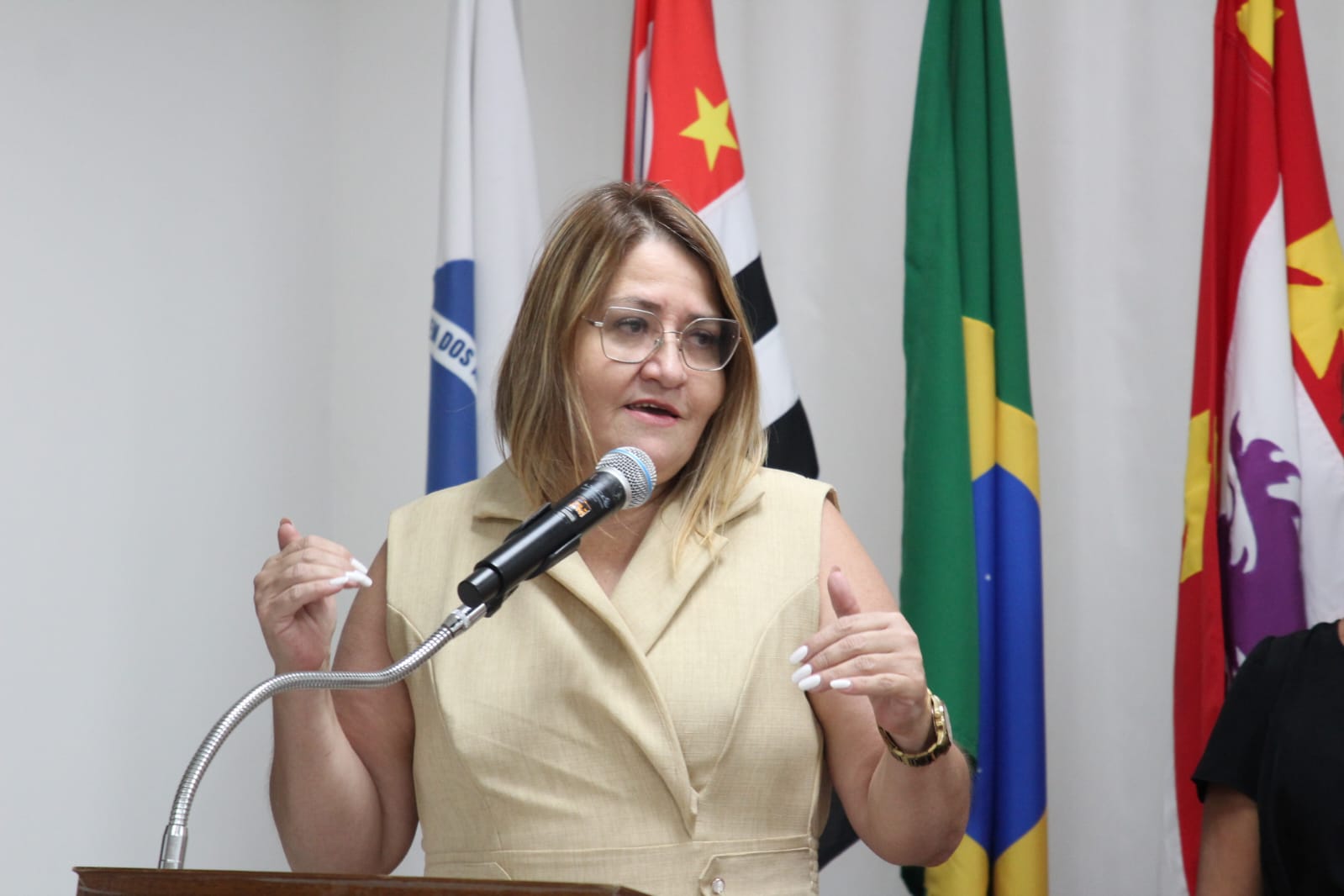 PALESTRA DE EMPREENDEDORISMO FESTIVAL DA MULHER 3.jfif