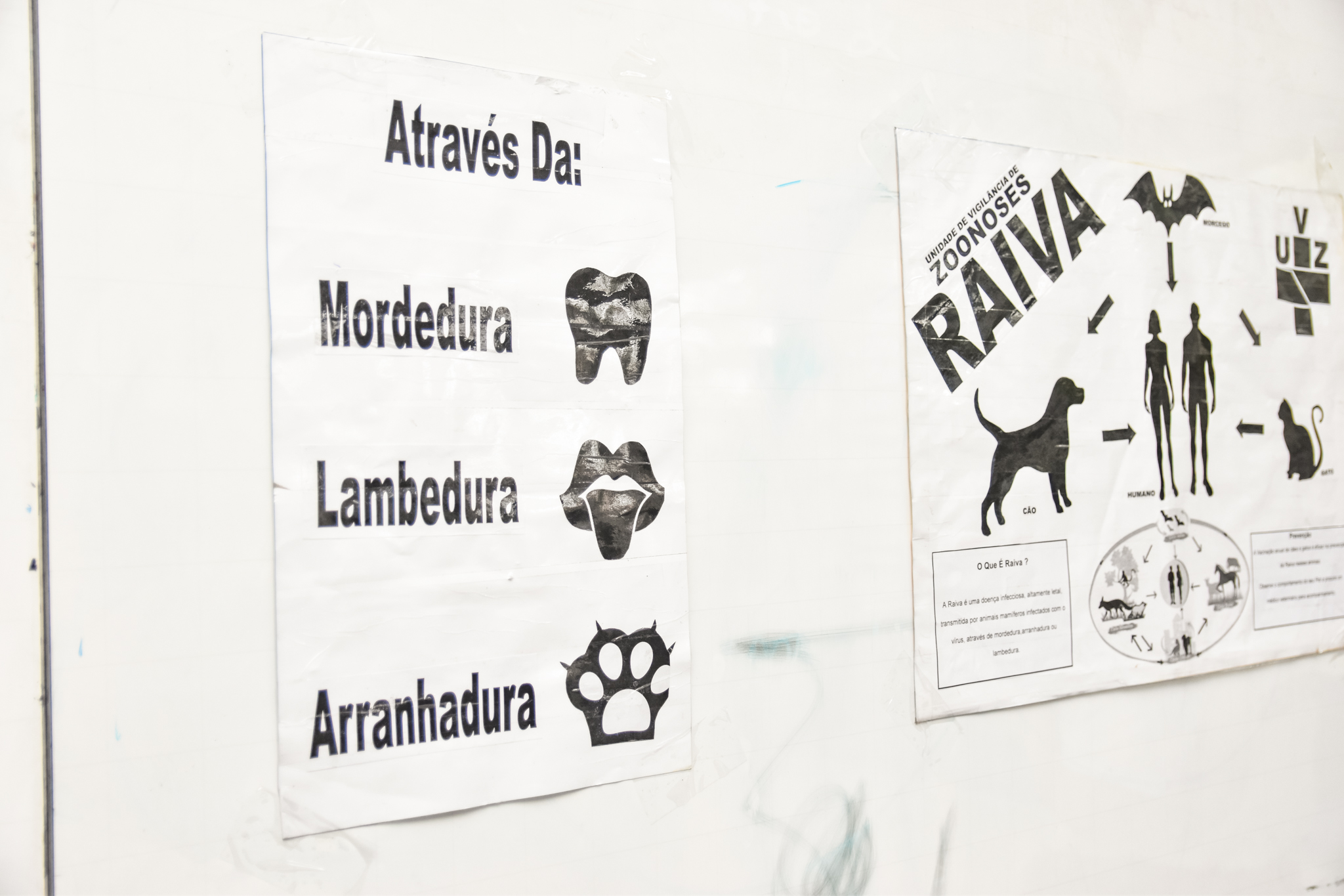 2 - Palestra sobre a Raiva - Zoonoses- EE Antonio Barreiros-20.jpg