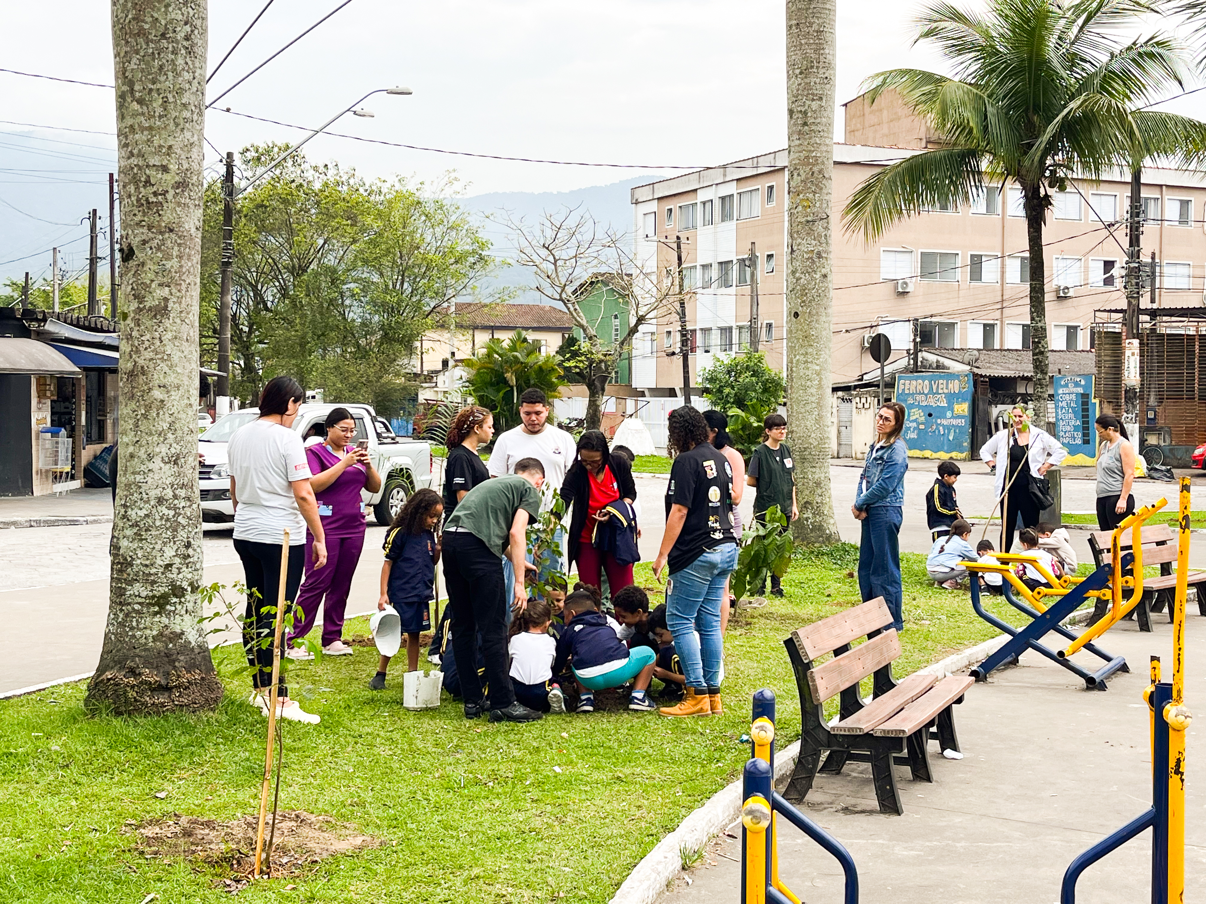 Plantio UE Padre Anchieta 005.jpg