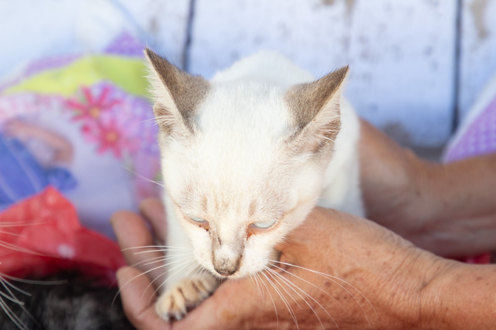 WhatsApp Image 2026-02-26 at 12.32.12 (1).jpeg