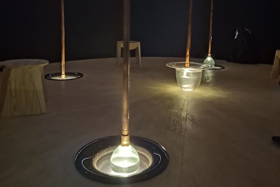 bienal 5.jpeg