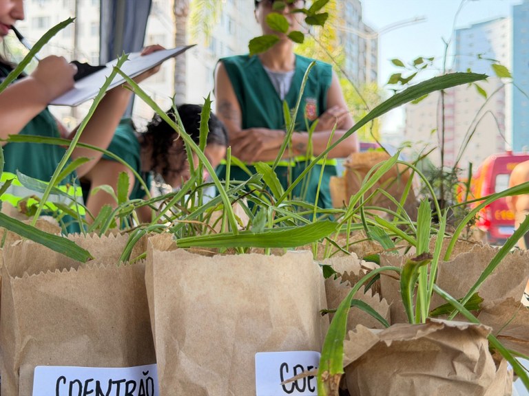 Rua da FelizCidade reúne lazer, saúde e atividades para famílias em São Vicente - 3.jpeg