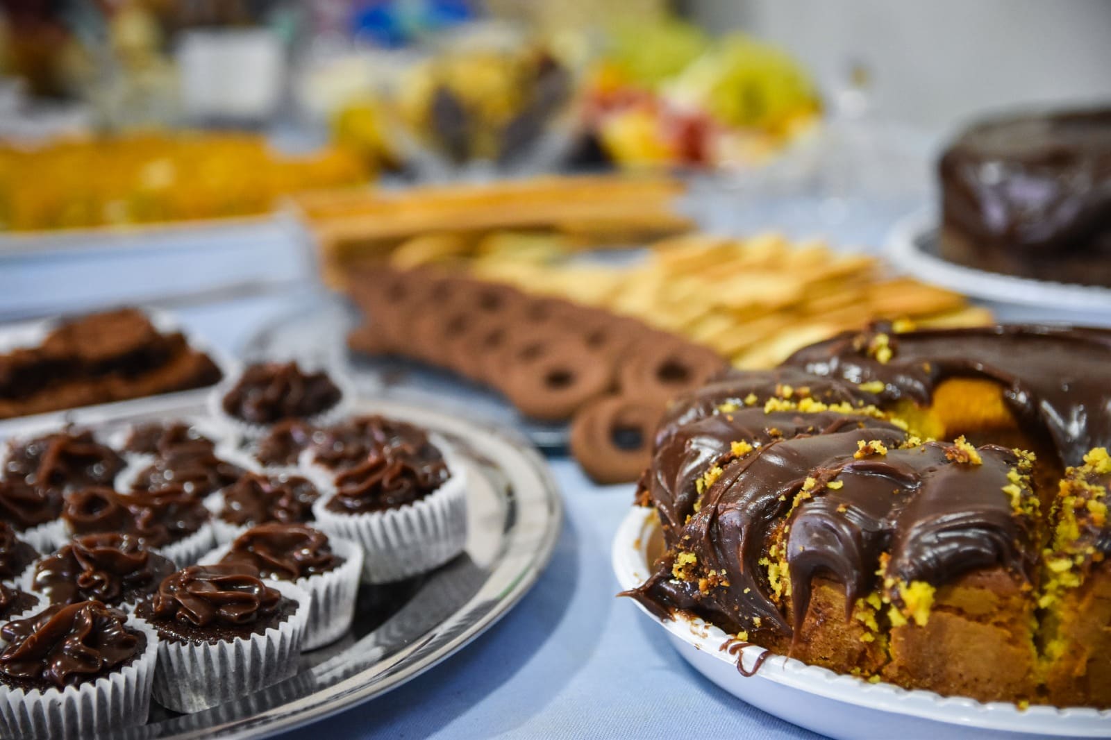 WhatsApp Image 2026-03-10 at 12.07.40 PM.jpeg