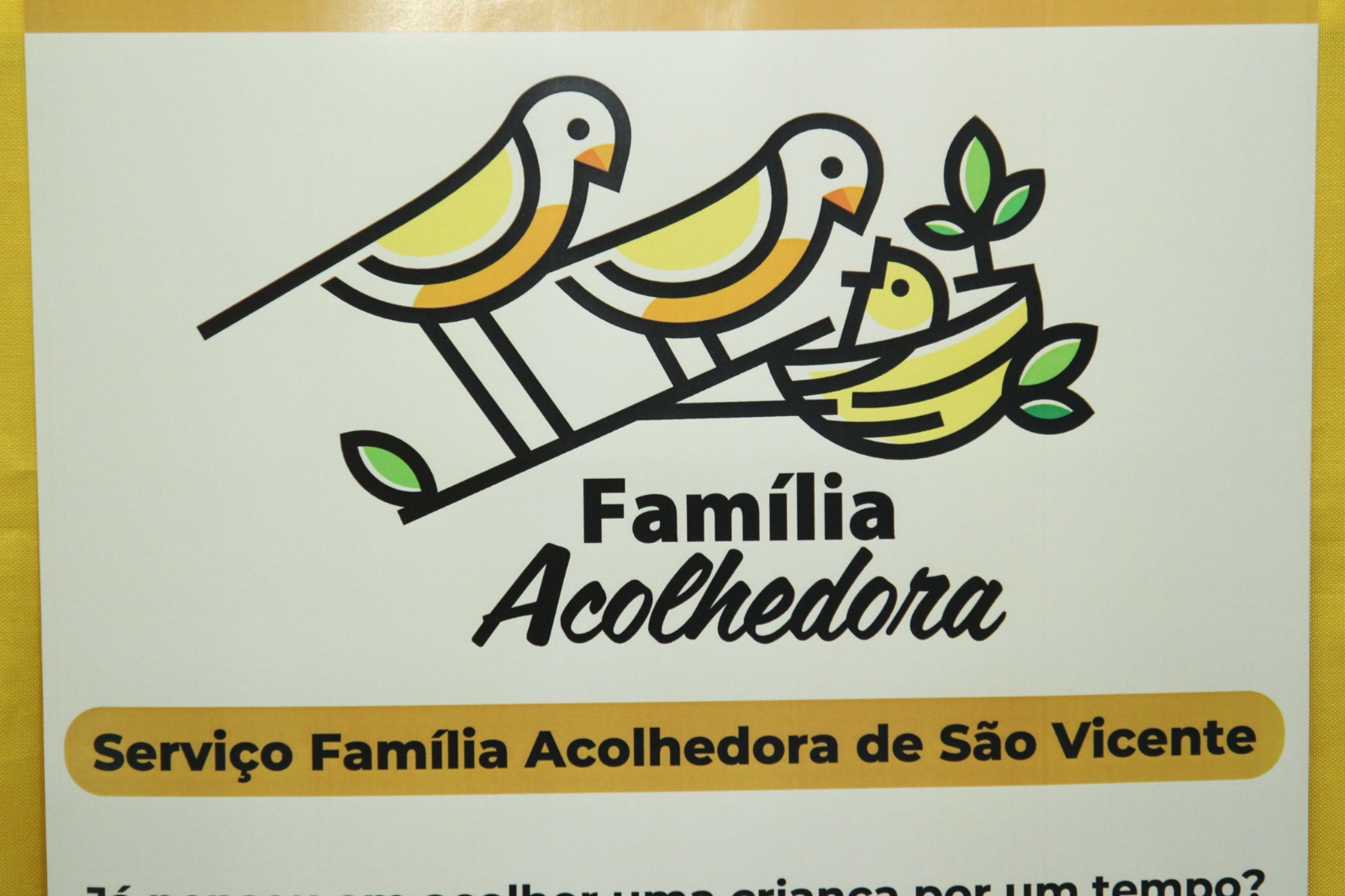 WhatsApp Image 2026-02-19 at 17.34.07 (1).jpeg