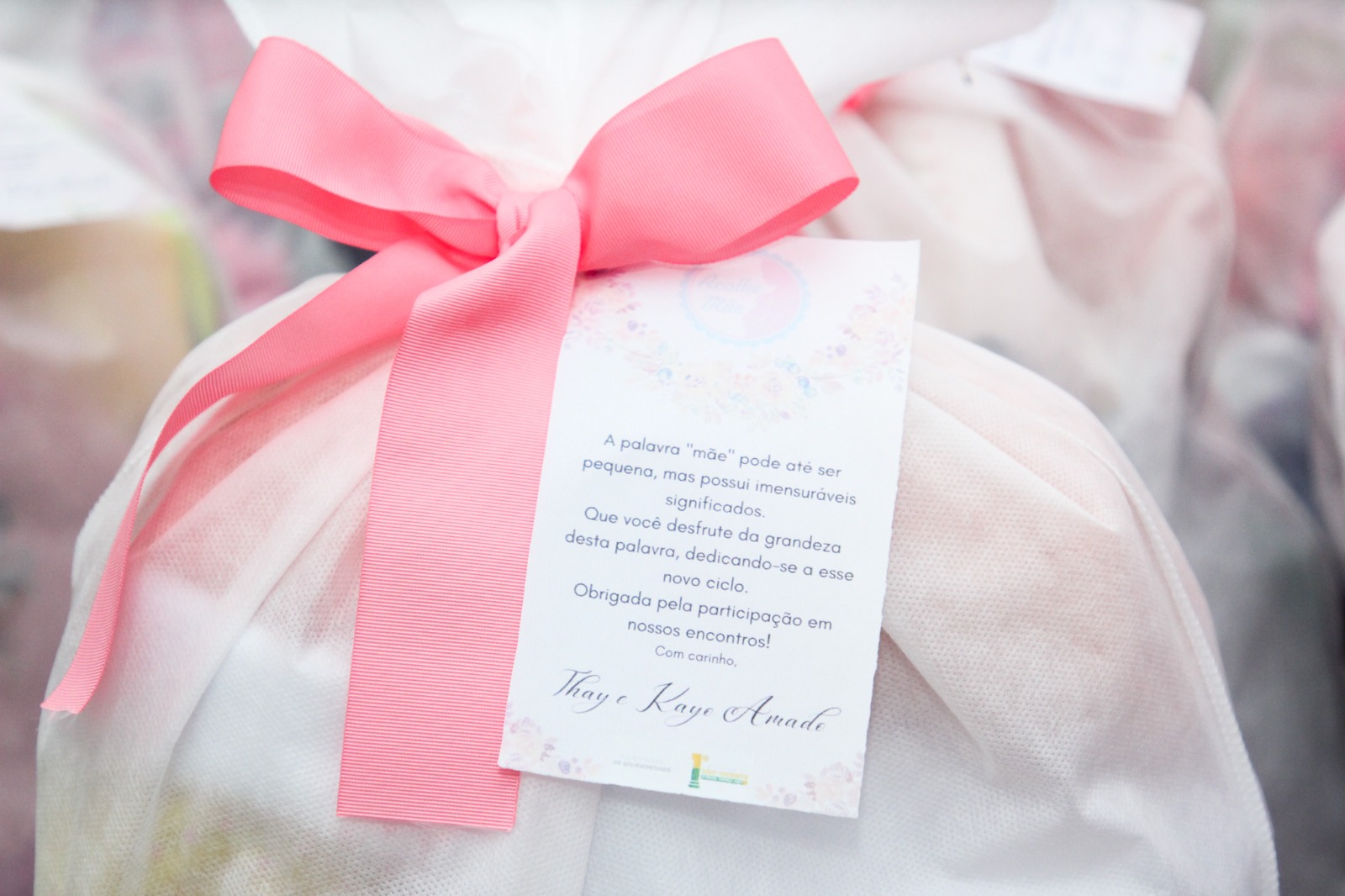 Voluntária transforma talento3.jpeg