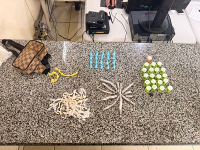 GCM apreende mais de 150 porções de drogas durante patrulhamento no Humaitá