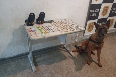 GCM de São Vicente apreende drogas em ação com cão farejador