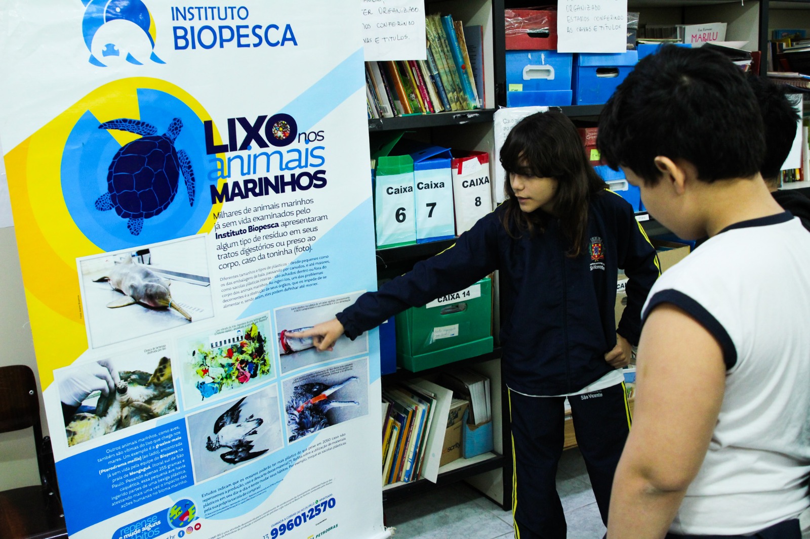 Instituto emociona alunos de escola de São Vicente com acervo de animais marinhos vítimas de poluição em museu itinerante