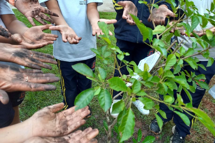 Palestra na Unesp marca abertura da Semana do Meio Ambiente de São Vicente nesta quinta-feira (5)