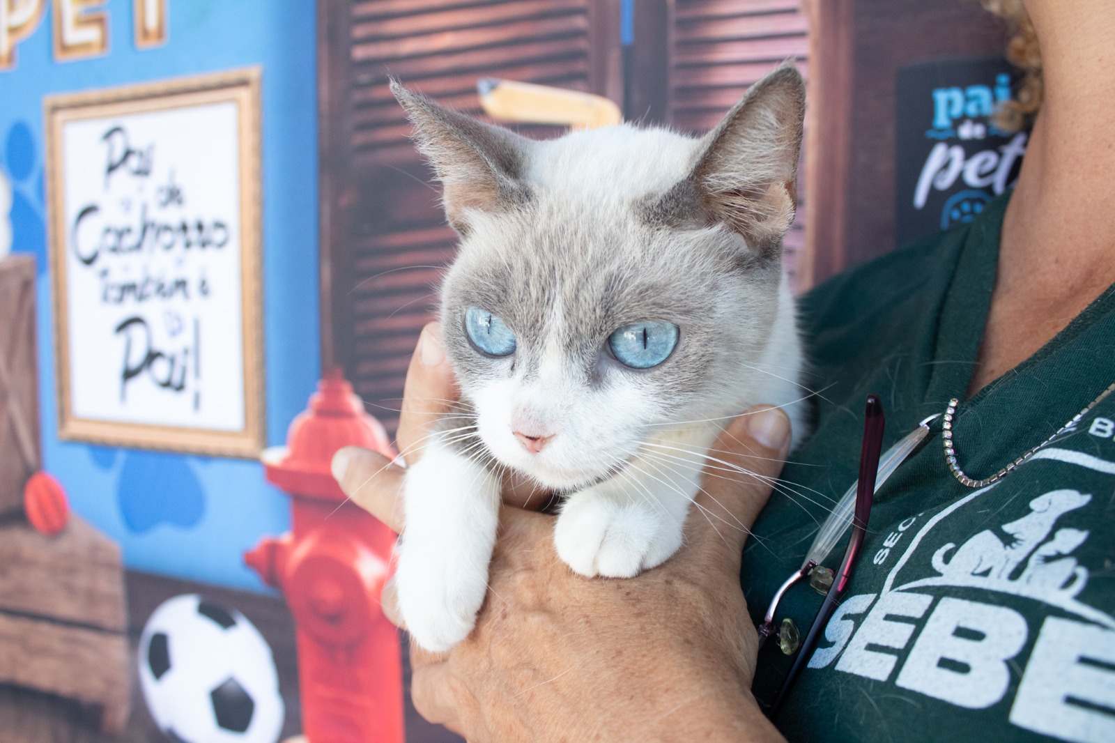 Prefeitura de São Vicente amplia oferta de castrações gratuitas de cães e gatos para a Área Continental