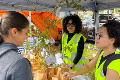 Prefeitura distribui 80 mudas de plantas nativas brasileiras à população